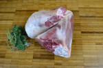 Lamb Shanks